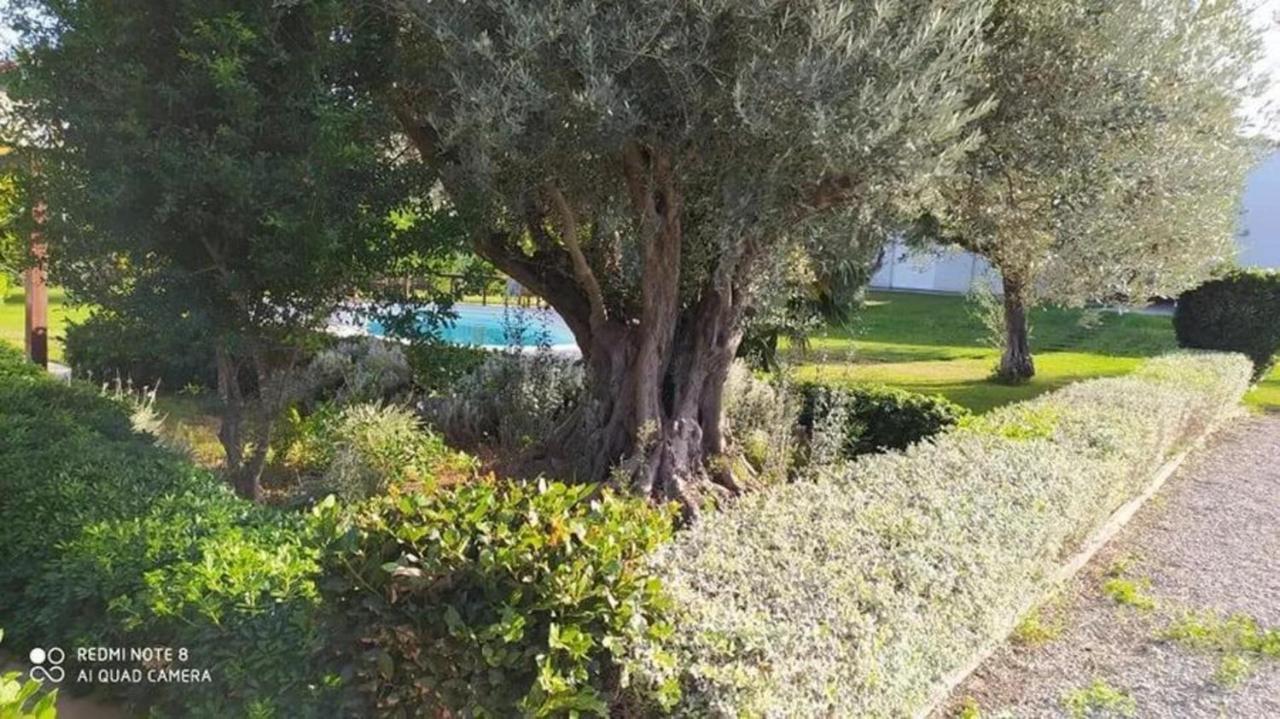 Luxurious 6 Bedroom Villa In A Great Location Chalkís المظهر الخارجي الصورة