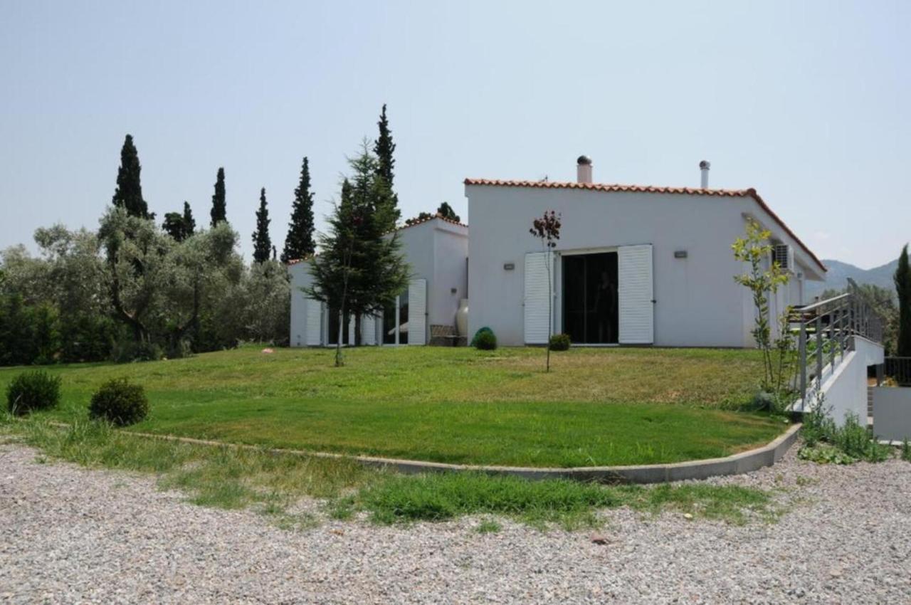 Luxurious 6 Bedroom Villa In A Great Location Chalkís المظهر الخارجي الصورة